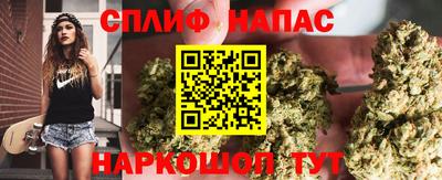 тгк Гатчина