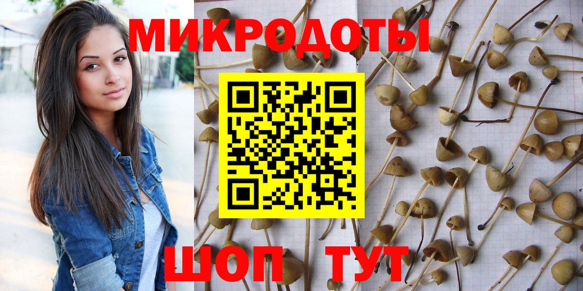 Галлюциногенные грибы GOLDEN TEACHER Нижний Тагил